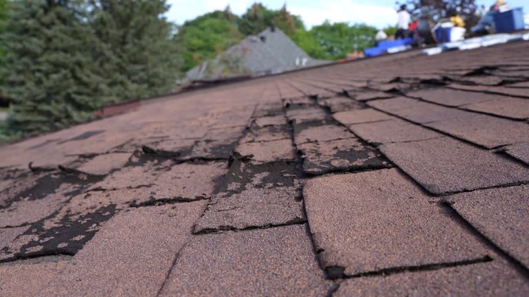 Best Wood Shake Roofing  in Niwot, CO