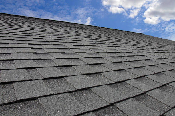 Best Roof Leak Repair  in Niwot, CO